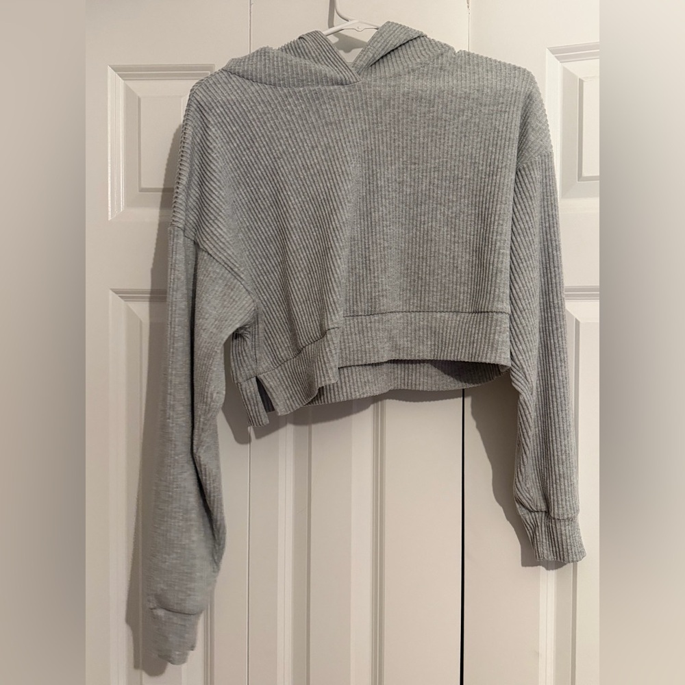 ALO Yoga Gray Cropped Hoodie